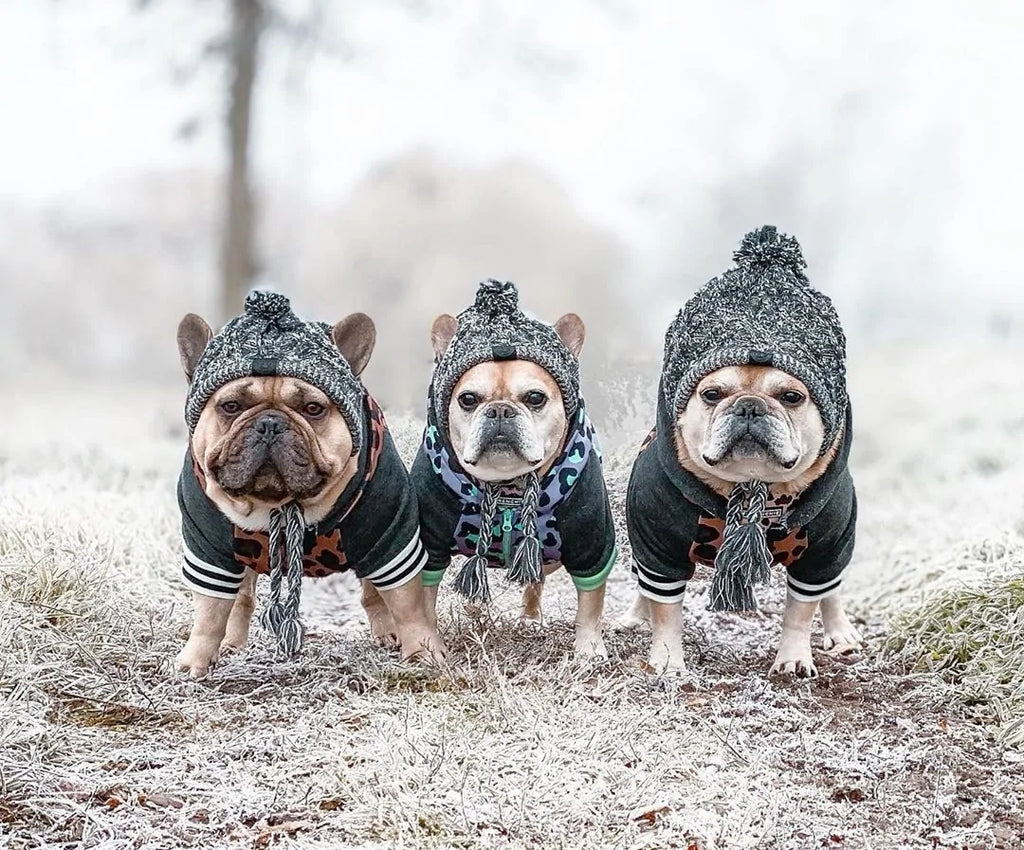 Warm Winter Pet Hat