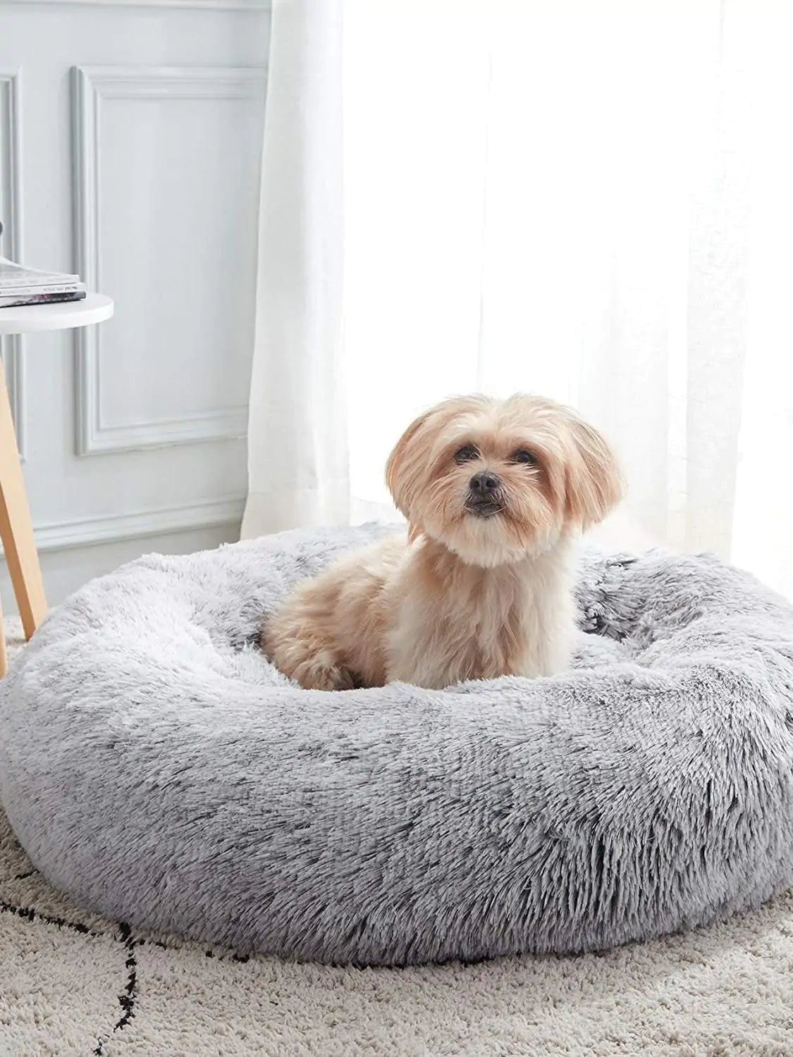 Pet Calming Bed Success