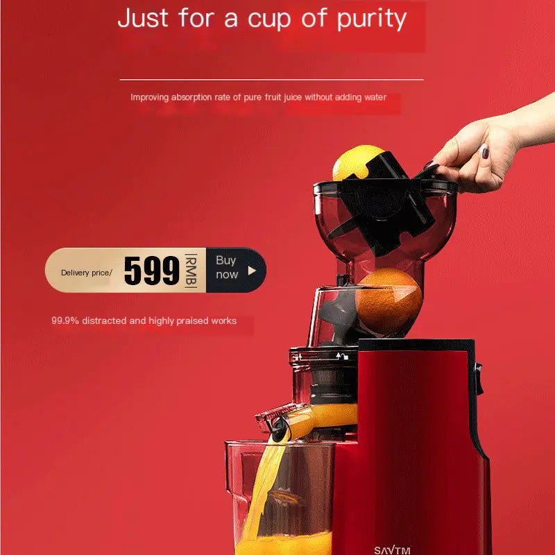 Lionwit Home Large-Capacity Juicer V9 with Pulp Separation